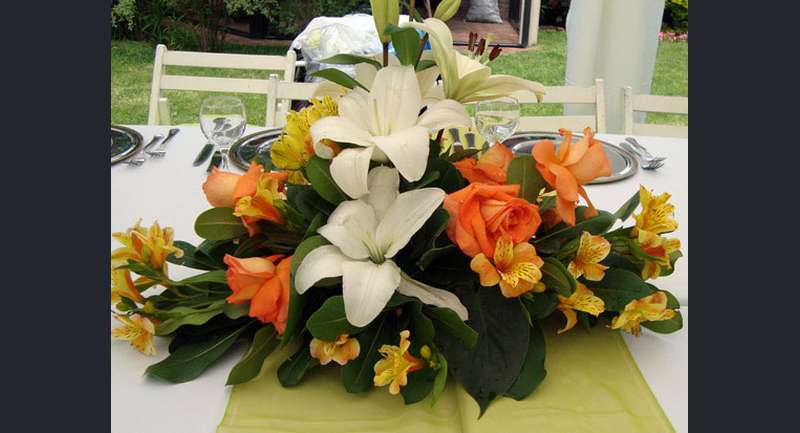 Su Living Ambientaciones